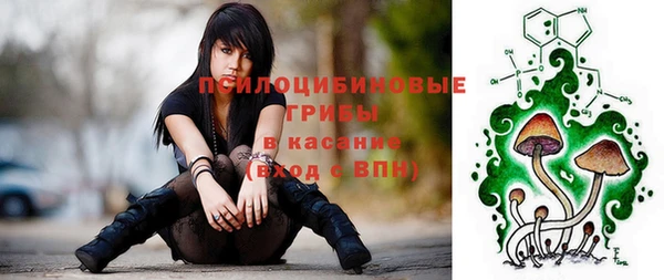 Альфа ПВП Абаза