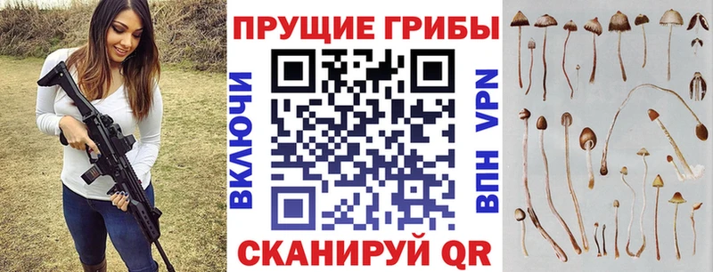 Псилоцибиновые грибы мицелий  Черногорск 