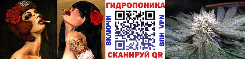 это телеграм  закладка  OMG ссылки  Черногорск  Бошки марихуана ГИДРОПОН 